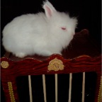 DSCF2349